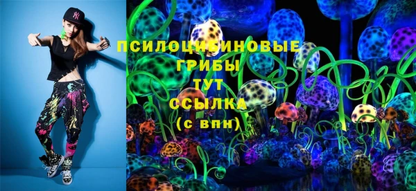 прущие грибы Аркадак