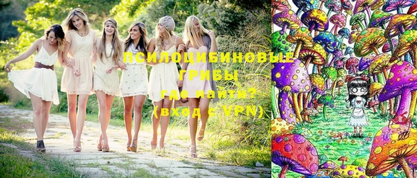 прущие грибы Аркадак