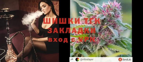 прущие грибы Аркадак