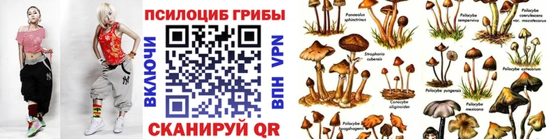 наркота Белебей Псилоцибиновые грибы Psilocybine cubensis
