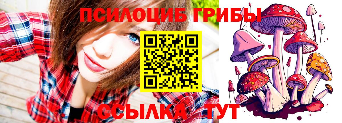 Белебей  наркота  Вход с VPN  Псилоцибиновые грибы ЛСД  Псилоцибиновые грибы GOLDEN TEACHER 