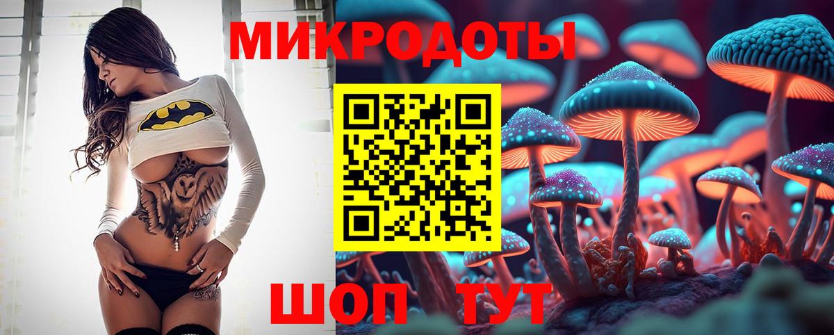 Галлюциногенные грибы Cubensis Белебей
